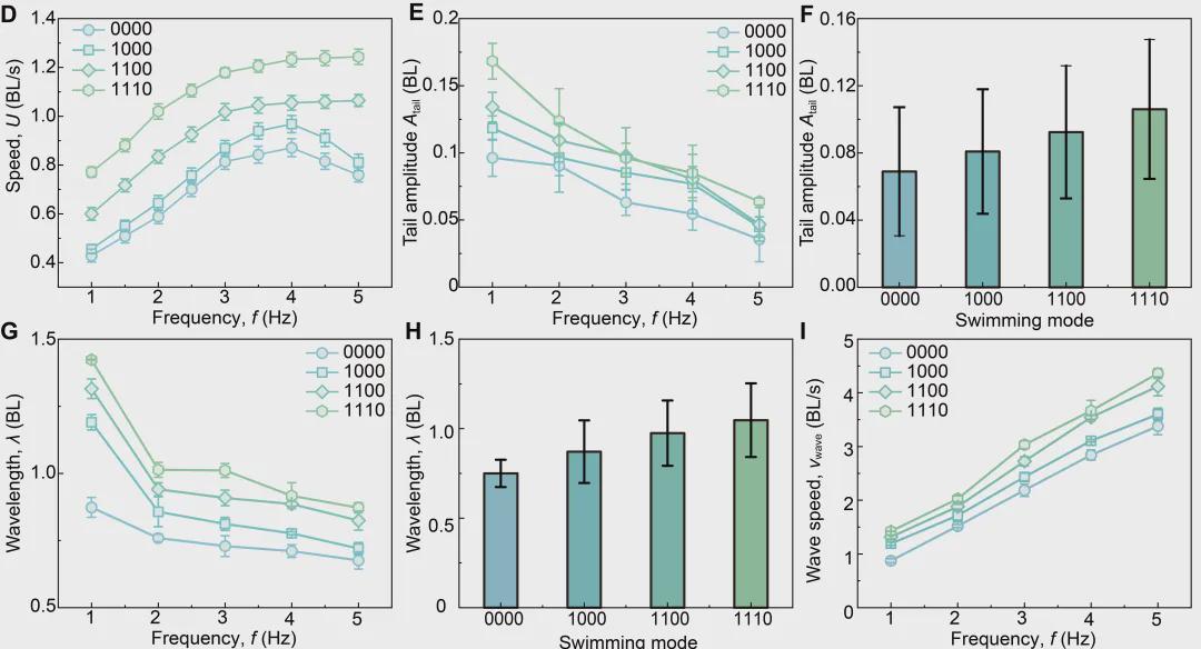  SA重磅！北大机器智能实验室这条机器鱼会变身，0.5秒从鳗鱼变金枪鱼(图11)